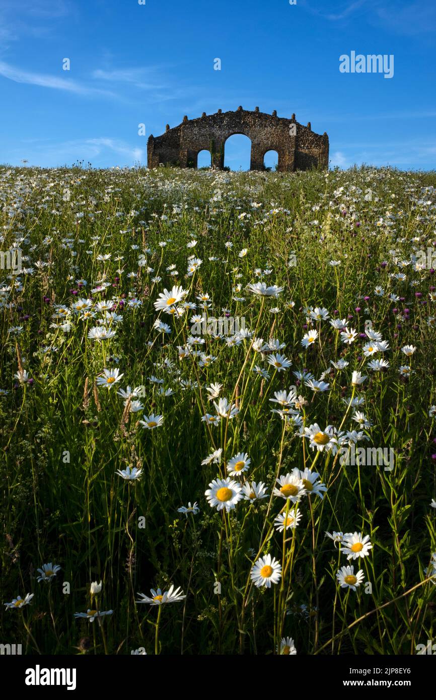 Rousham Folly (Eye-catcher) a Steeple Aston , Oxfordshire Foto Stock