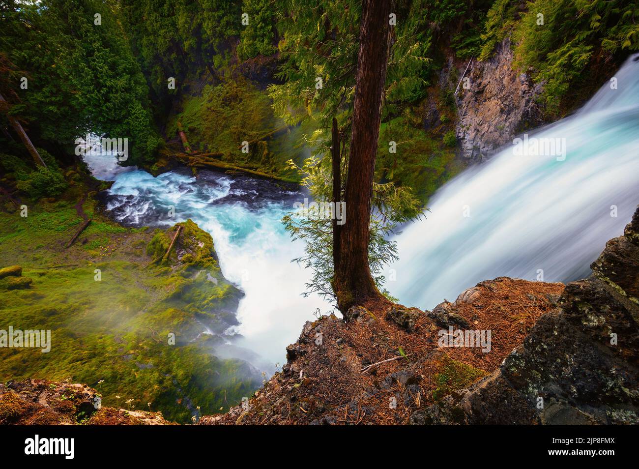 Cascate Sahalie sul fiume McKenzie situato nella Willamette National Forest, Oregon Foto Stock