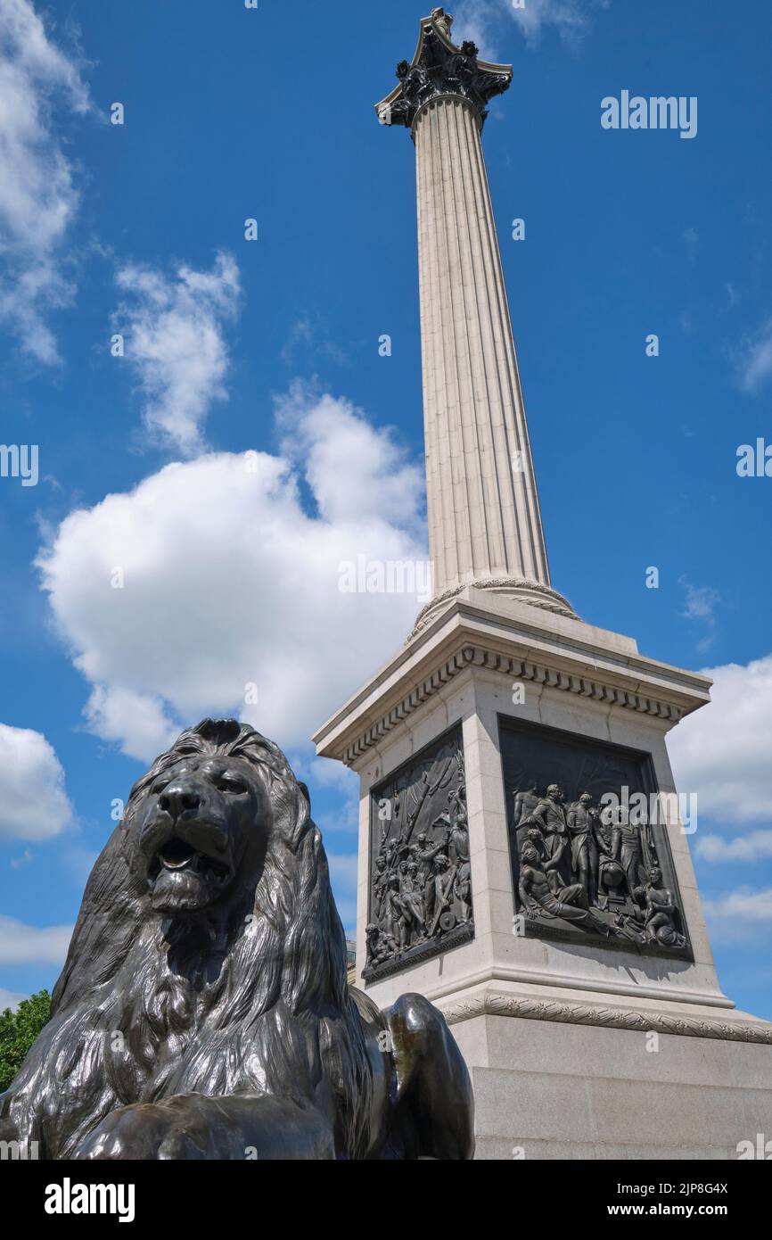 Un leone di bronzo e la famosa colonna di Nelson, dedicata al vice-ammiraglio Horatio Nelson per la sua vittoria nella Battaglia di Trafalgar. In Trafalgar Square i Foto Stock