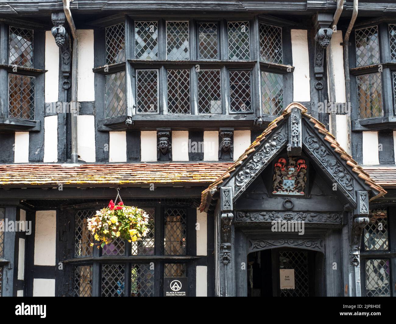 Particolare del Black and White House Museum sulla città alta di Hereford Herefordshire Inghilterra Foto Stock