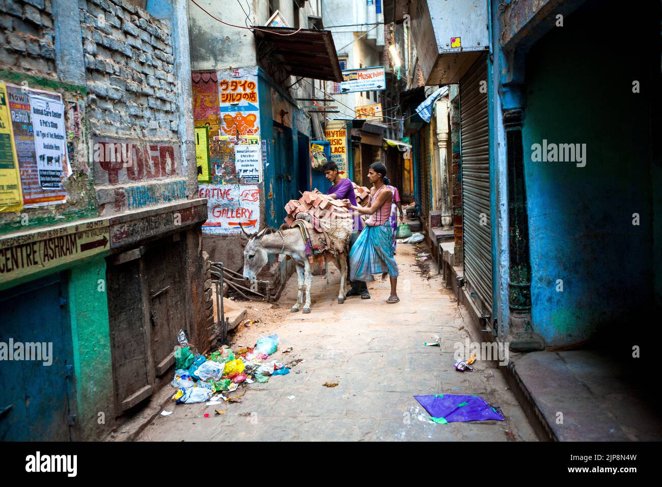 Asino che trasporta i mattoni, Varanasi, Banaras, Benaras, Kashi, Utttar Pradesh, India Foto Stock