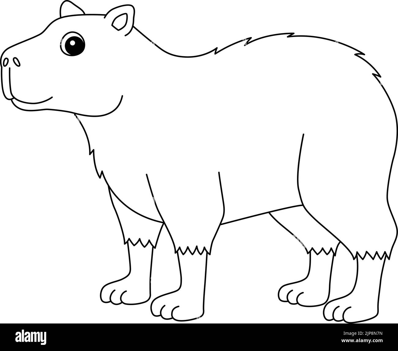 Capybara animale isolato colorazione pagina per bambini Illustrazione Vettoriale