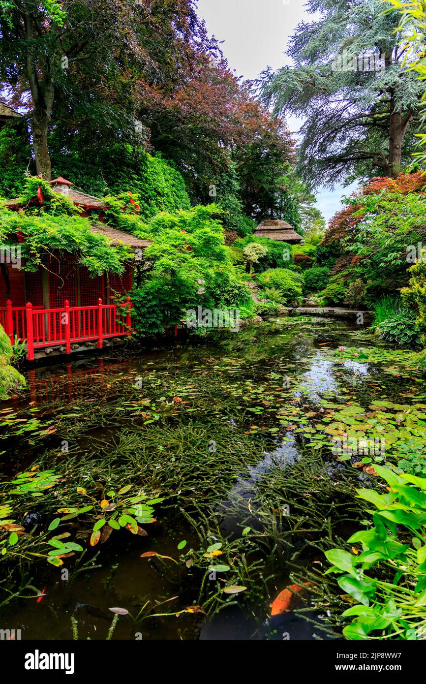 Il Giardino Giapponese a Compton Acres Gardens, Poole, Dorset, Inghilterra, Regno Unito Foto Stock