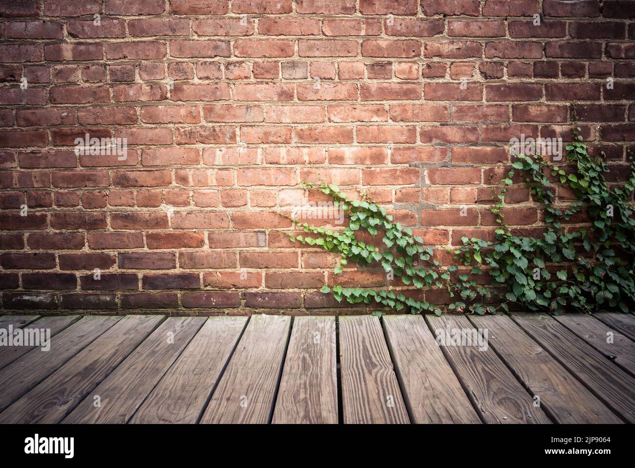 Immagine di sfondo del muro esterno in mattoni con pavimento in legno e vigna di edera verde scricchiolante. Foto Stock