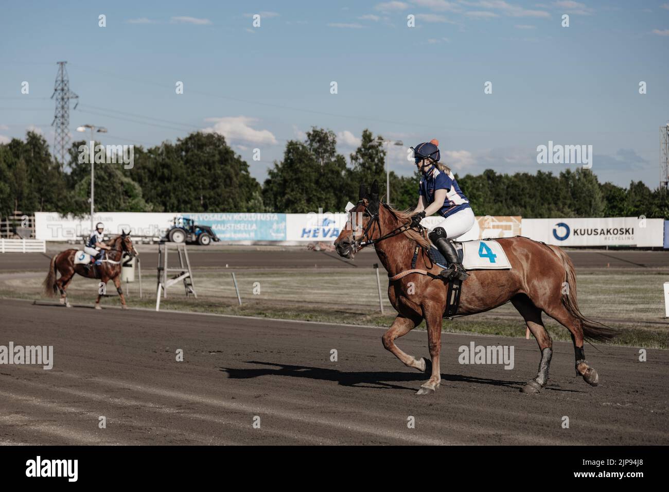 Le corse di cavalli a Oulu, Finlandia. Sport equestri. Foto Stock