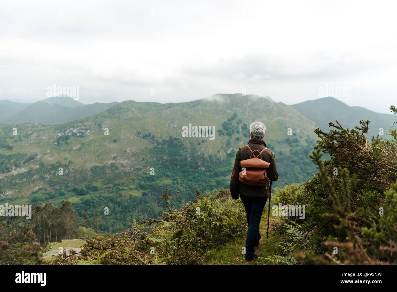 anziani, natura, escursioni, sport, anziani, vecchio, seniors, europa, italia, natura, divertimento, vivere Foto Stock