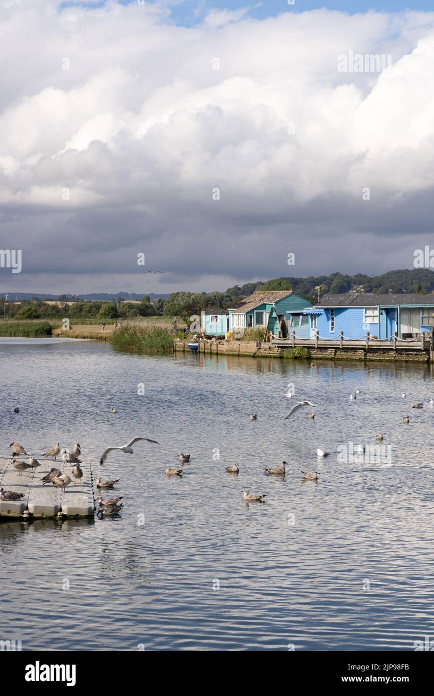 Dorset Landscape; edifici in legno e uccelli sulle rive del fiume Brit a West Bay, Dorset, Inghilterra sud-occidentale UK Foto Stock