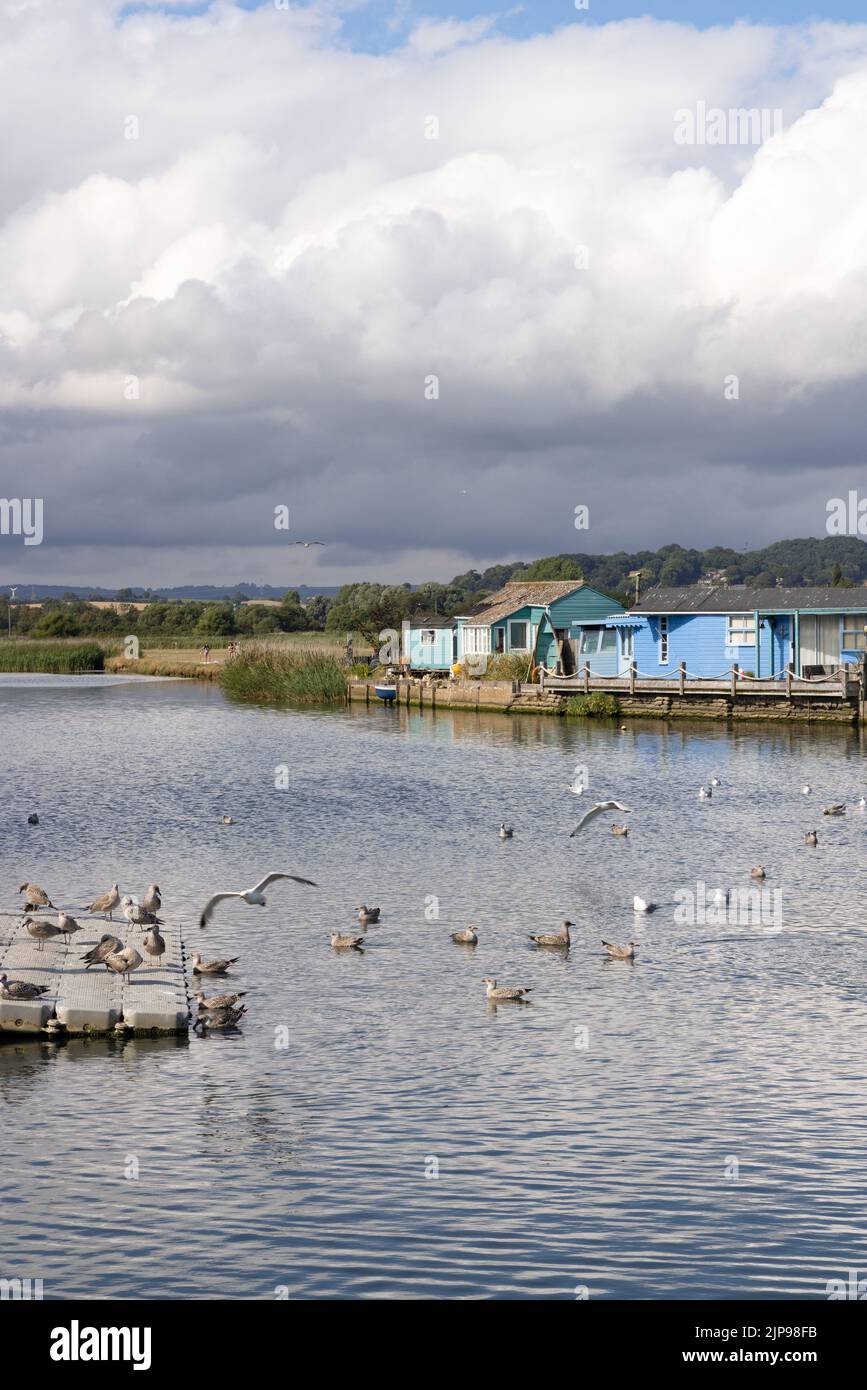 Dorset Landscape; edifici in legno e uccelli sulle rive del fiume Brit a West Bay, Dorset, Inghilterra sud-occidentale UK Foto Stock Dorset Landscape; edifici in legno e uccelli sulle rive del fiume Brit a West Bay, Dorset, Inghilterra sud-occidentale UK Foto Stock