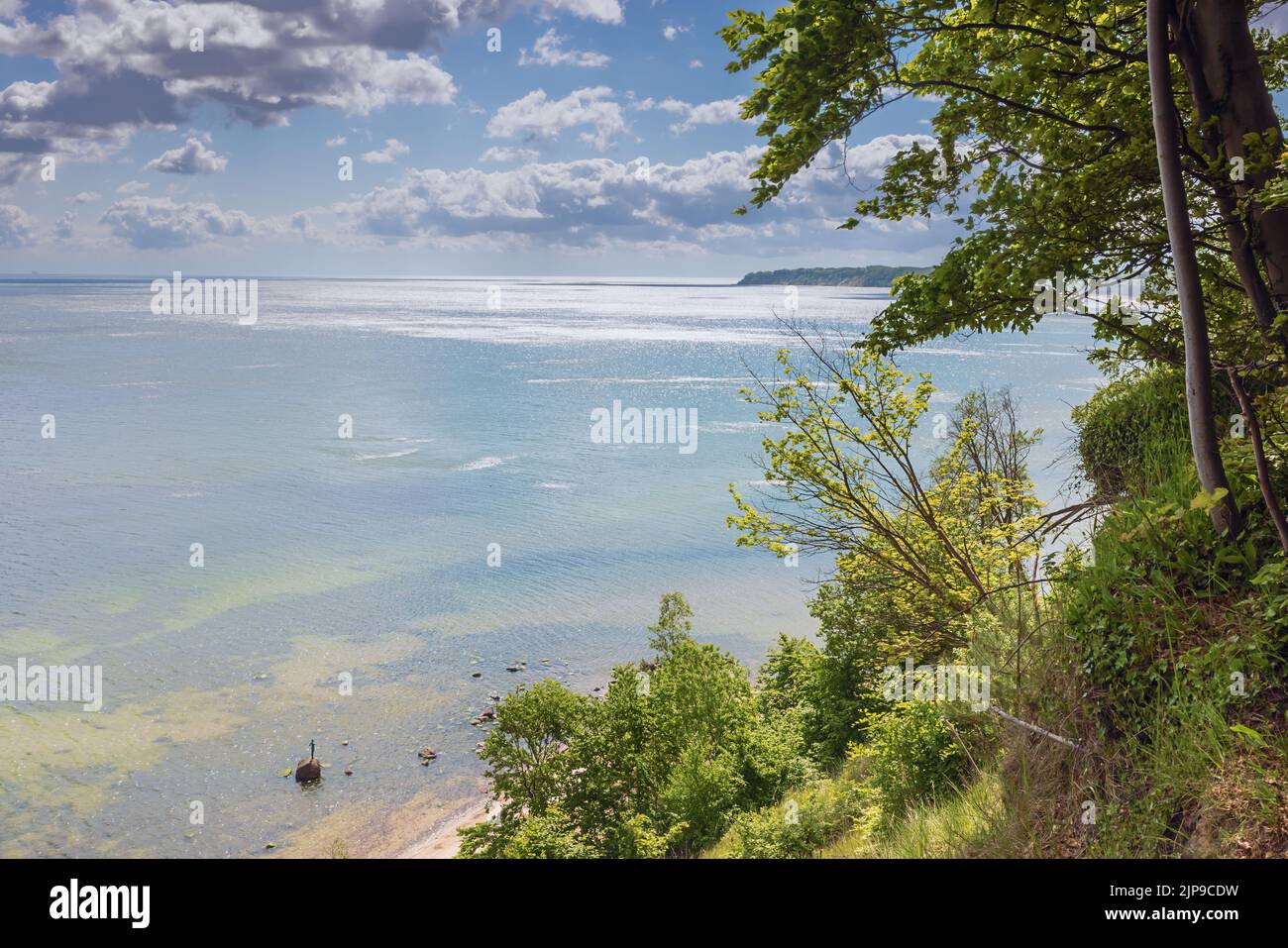 Scogliere boscose sulla spiaggia di Sellin sull'isola di Rugen Foto Stock