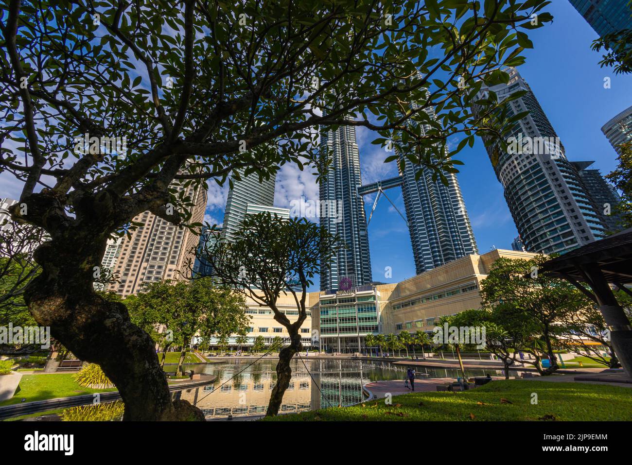 Kuala Lumpur, Malesia - 13 agosto 2022: Vista delle Torri Gemelle attraverso le palme del Parco KLCC. Oasi urbana con spettacolo di fontane d'acqua. Petronas Foto Stock