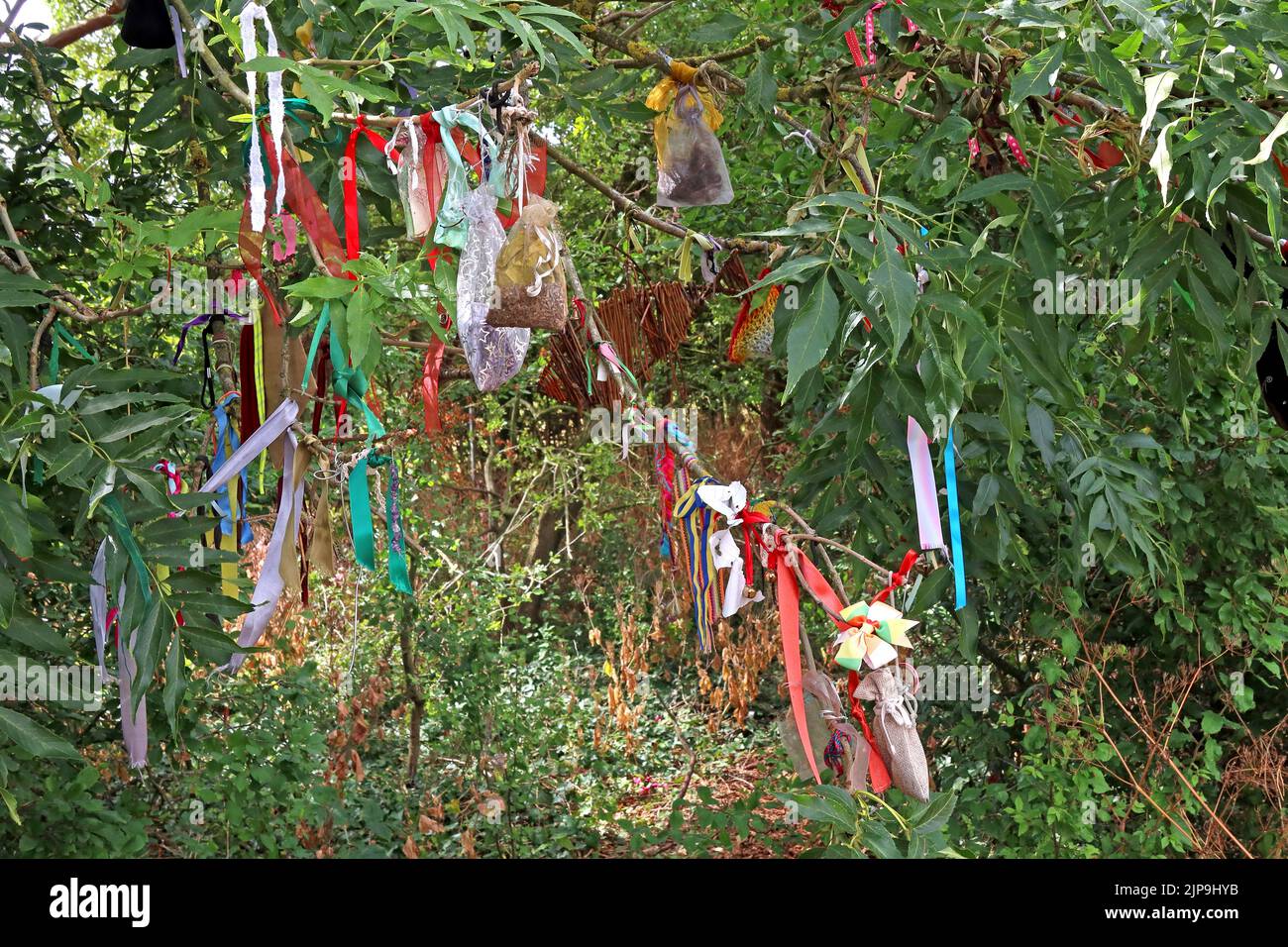 Nastri legati ad albero a Rollright Stones, Little Compton, Warwickshire, Inghilterra, Regno Unito, OX7 5QB Foto Stock