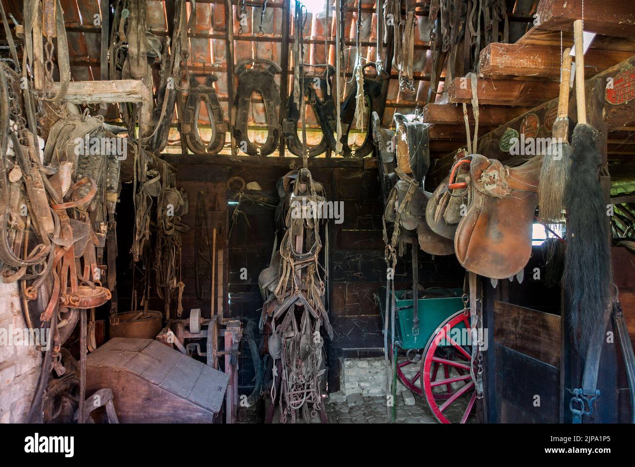 Interno di stalla che mostra vecchie selle e collari di cavalli vintage al museo all'aperto Bachten de Kupe, Izenberge, Fiandre Occidentali, Belgio Foto Stock