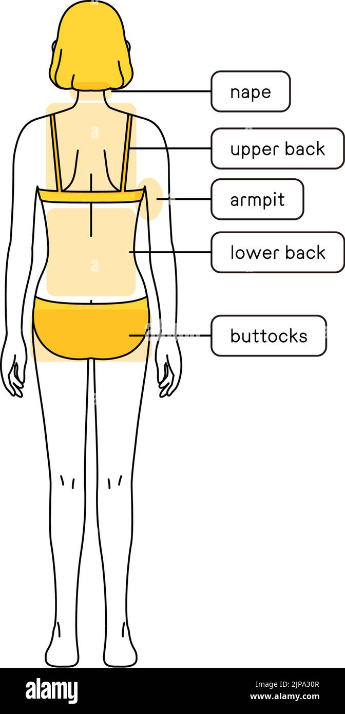 Epilazione femminile Illustrazione corpo intero da dietro Illustrazione Vettoriale