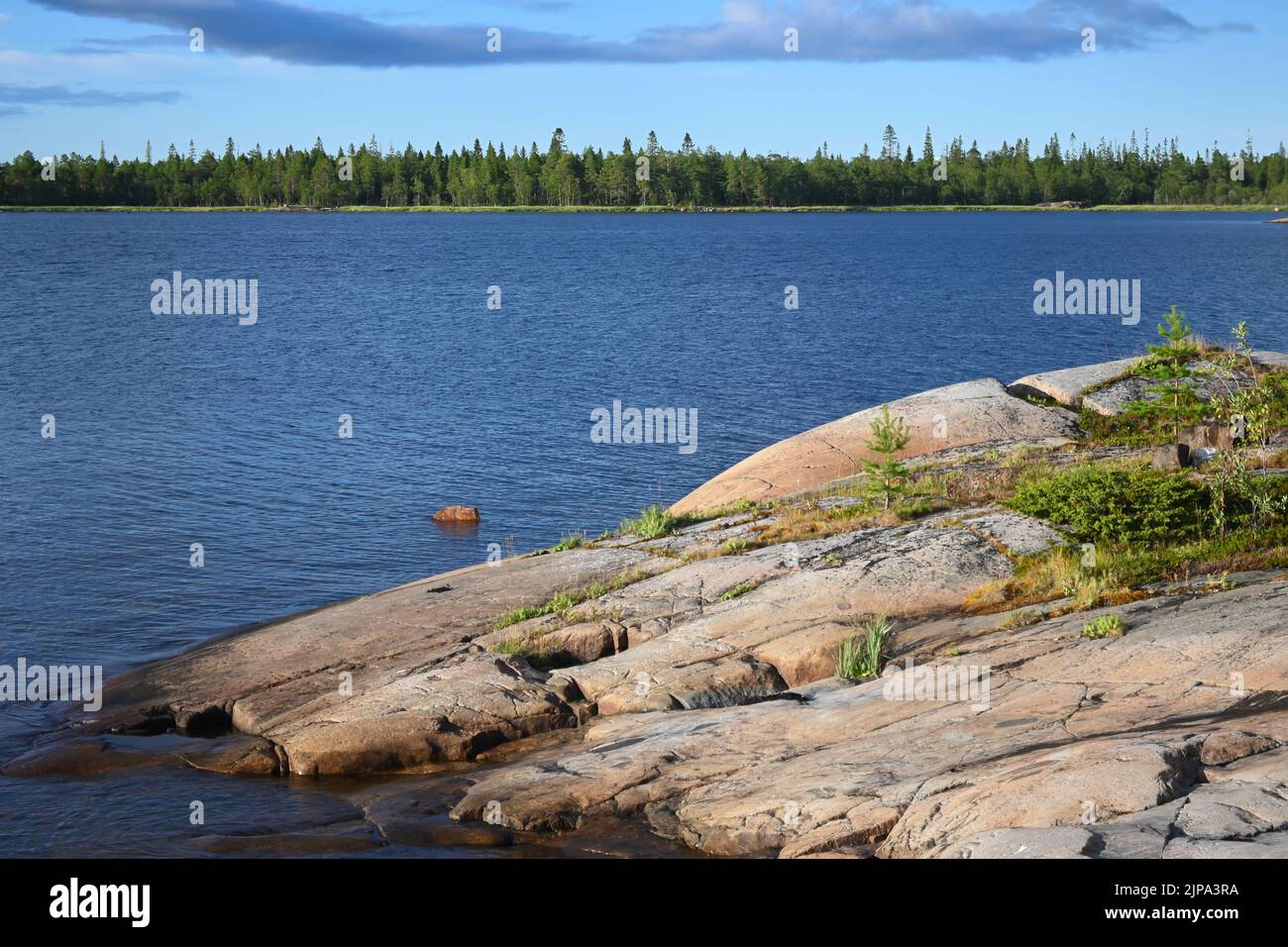 La costa del Mar Bianco. Mare della regione Karelian in Russia. Foto Stock