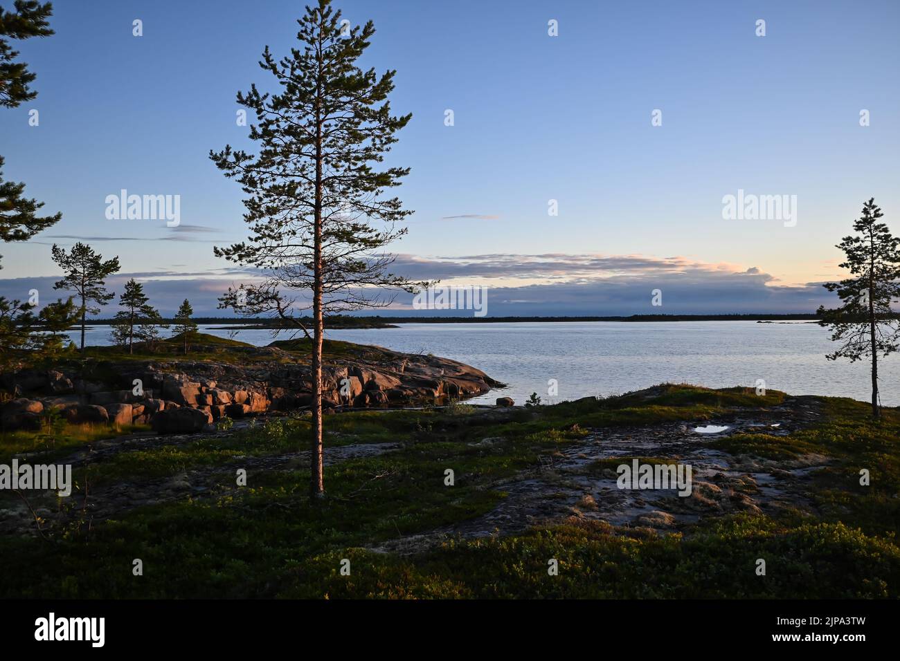 La costa del Mar Bianco. Mare della regione Karelian in Russia. Foto Stock