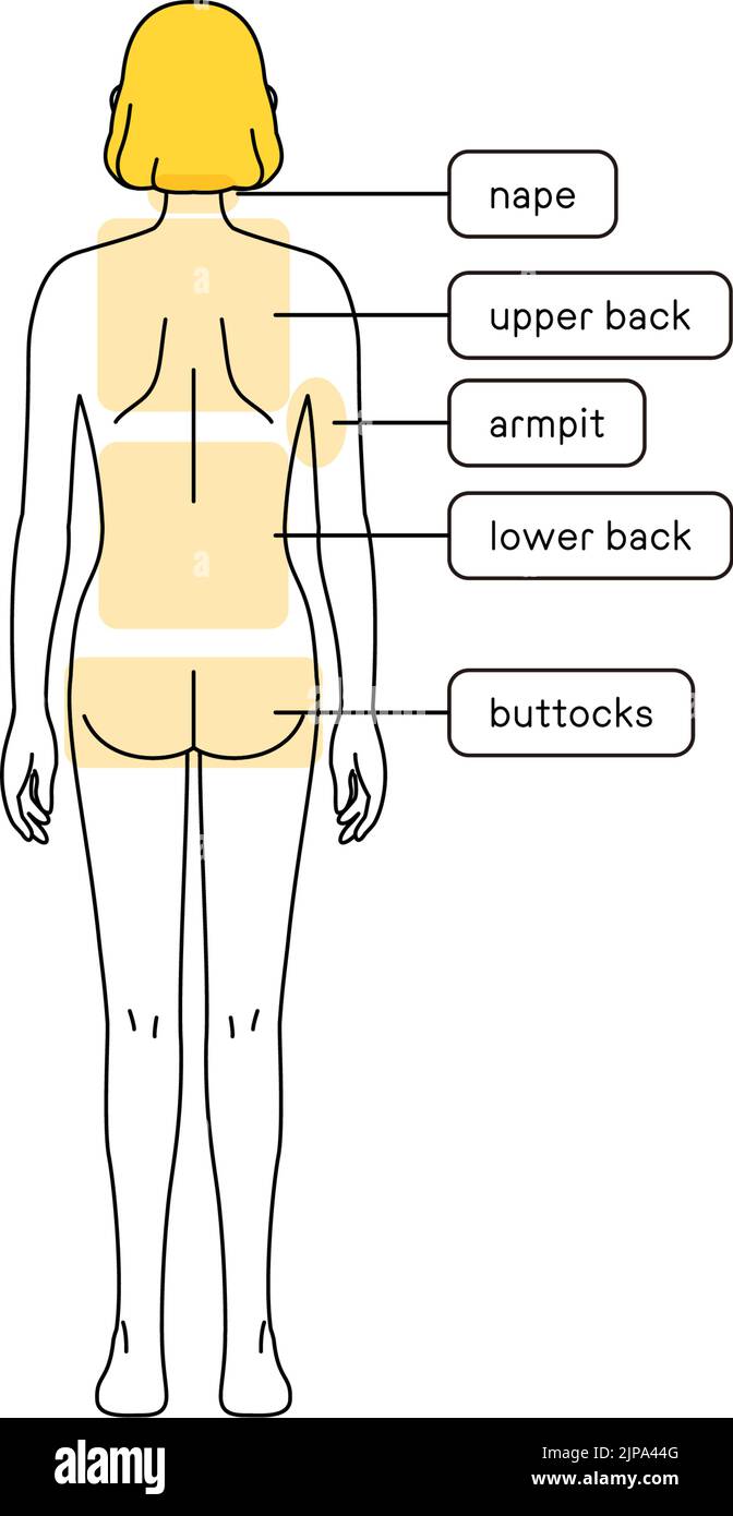 Epilazione femminile Illustrazione corpo intero da dietro Illustrazione Vettoriale