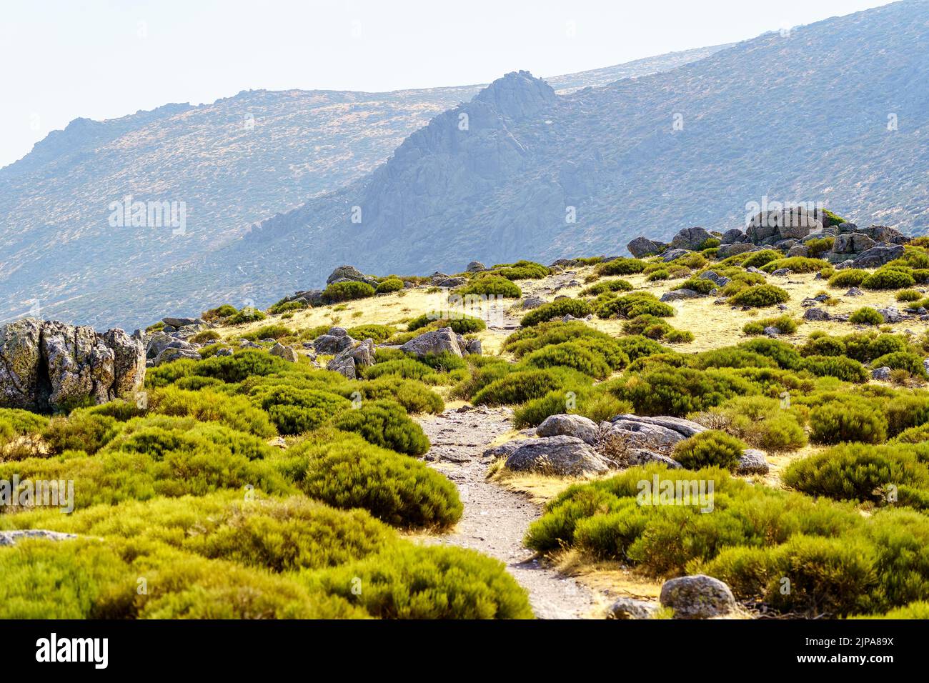 Strada per la cima della montagna rocciosa nella sierra de Madrid, la Morcuera Foto Stock