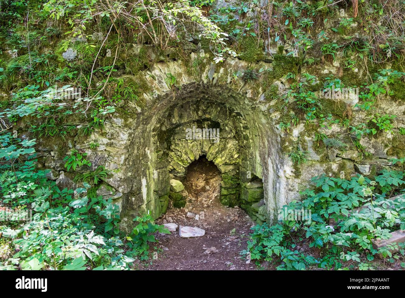 Italia, Trantino Alto Adige, Cascate Stanghe (Gilfenklamm) Foto Stock