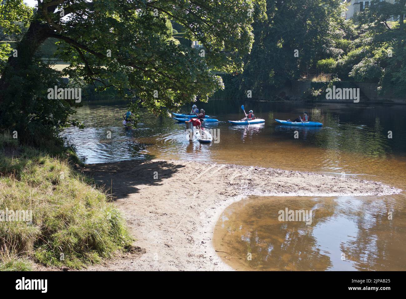 dh River Wharfe WETHERBY WEST YORKSHIRE Impara a paddle paddleboards kayak canottaggio Inghilterra uk Foto Stock