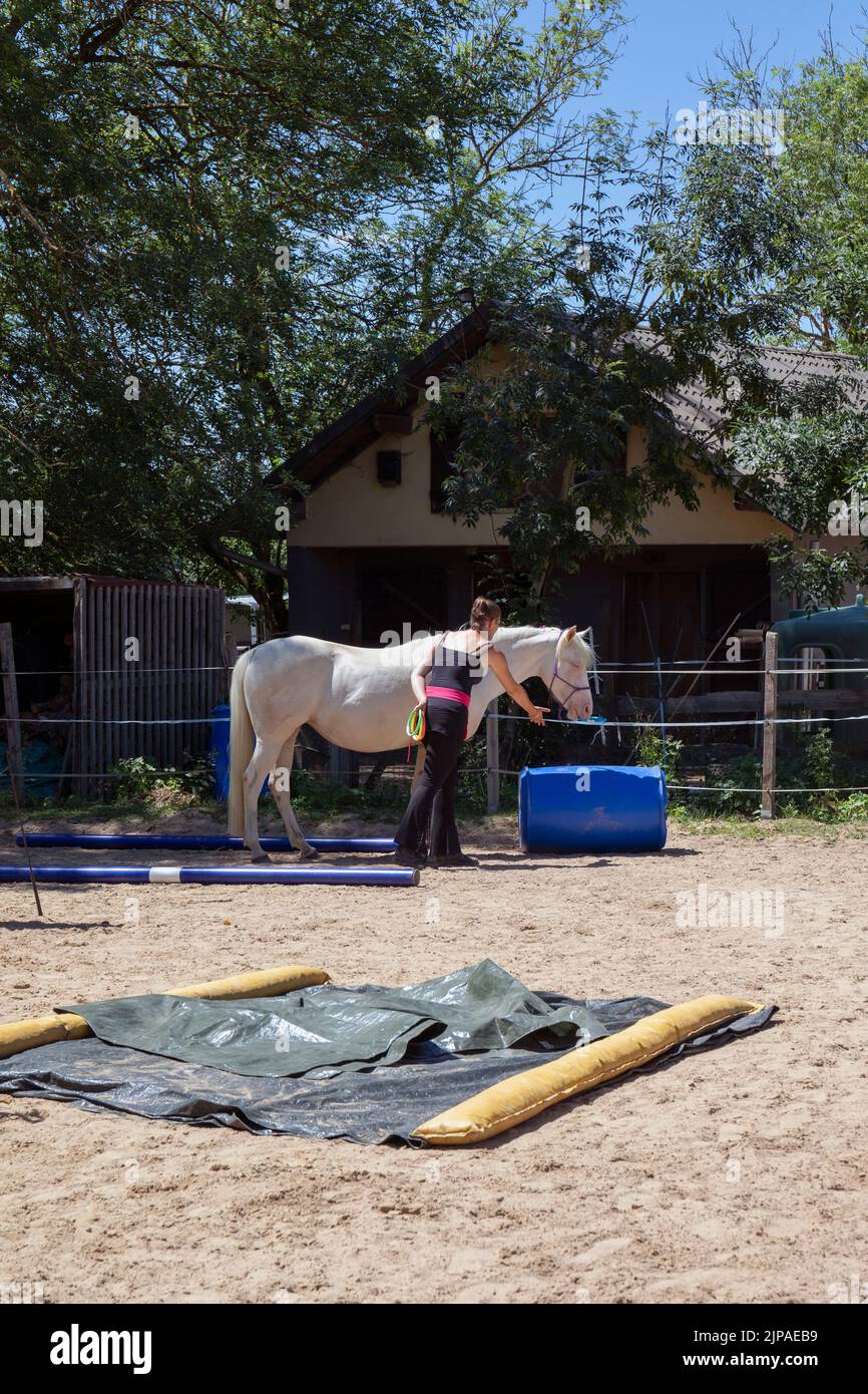 Dimostrazione di abilità di Cavallo al Concorso di Tiro con l'Arco a Limpach con il Cavallo che raccoglie gli anelli in bocca, Lussemburgo, il 2nd luglio 2022 Foto Stock