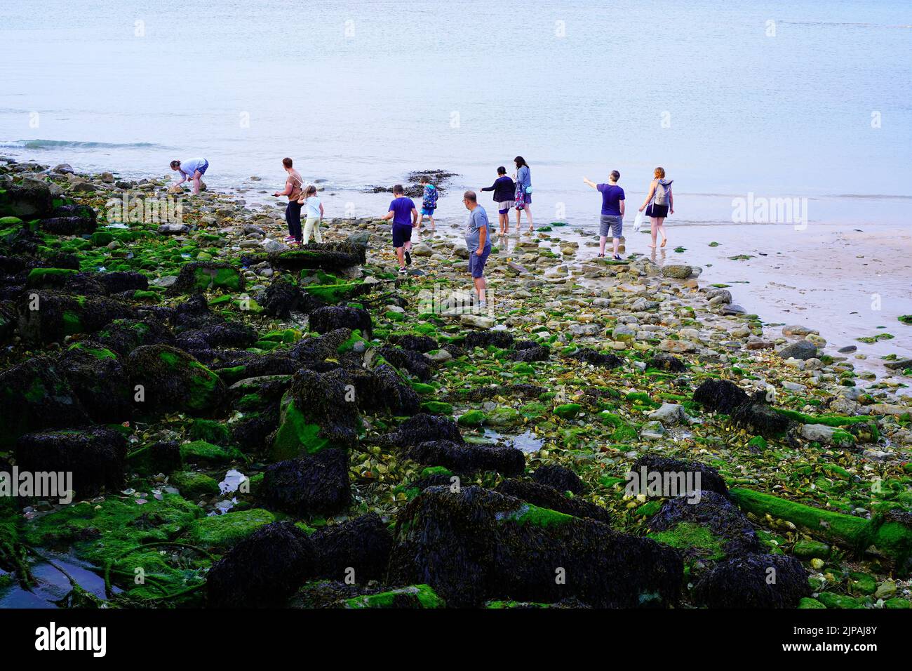 Persone che raccolgono conchiglie sulla spiaggia di Port en Bessin la sera d'estate Foto Stock