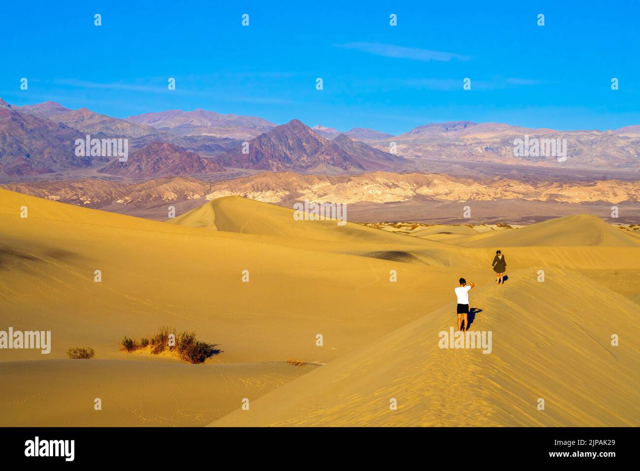 Mesquite Sand Dunes, Death Valley National Park, California, Nord America, Stati Uniti Foto Stock