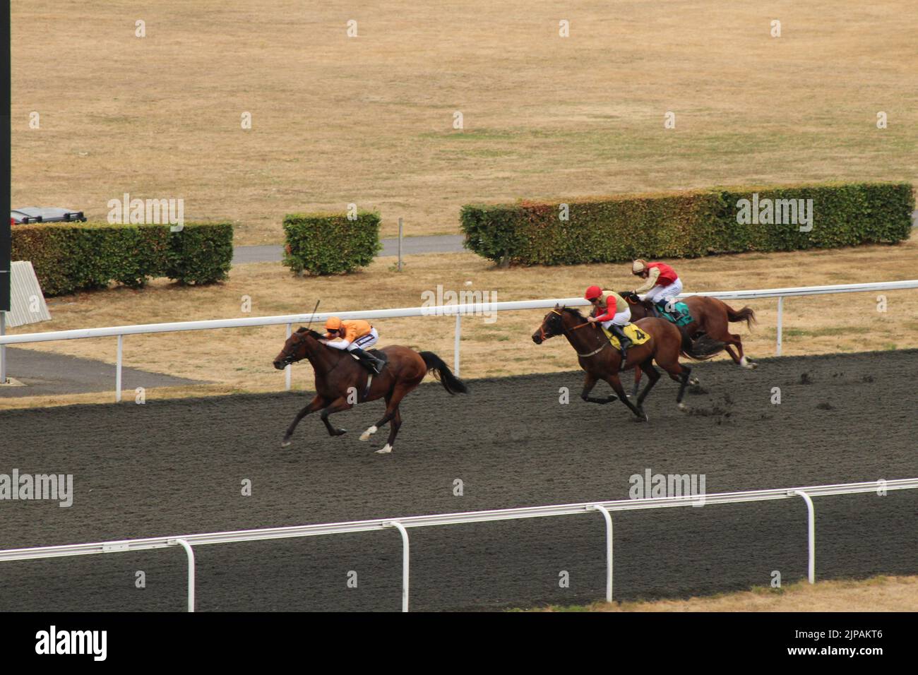 Londra, Regno Unito. 16th ago 2022. Willem Twee, guidato da Daniel Muscutt, vince la 16:00 davanti a Wonder Elzam e Twilight Madness all'ippodromo di Kempton Park, Regno Unito. Credit: Paul Blake/Alamy Live News. Foto Stock