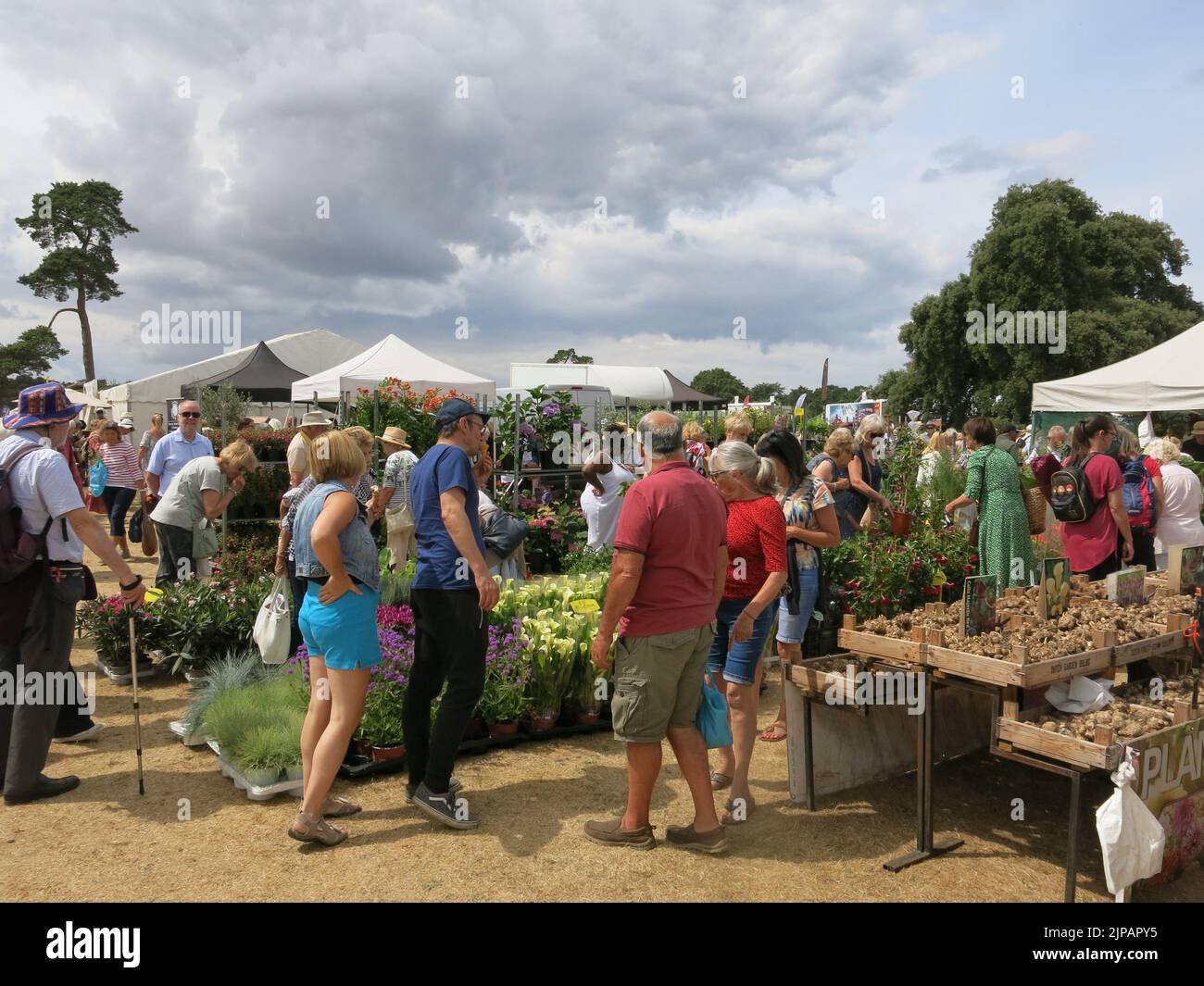Bancarelle di piante e vivai specializzati sono una delle caratteristiche che attraggono la folla all'annuale Sandringham Flower Show. Foto Stock