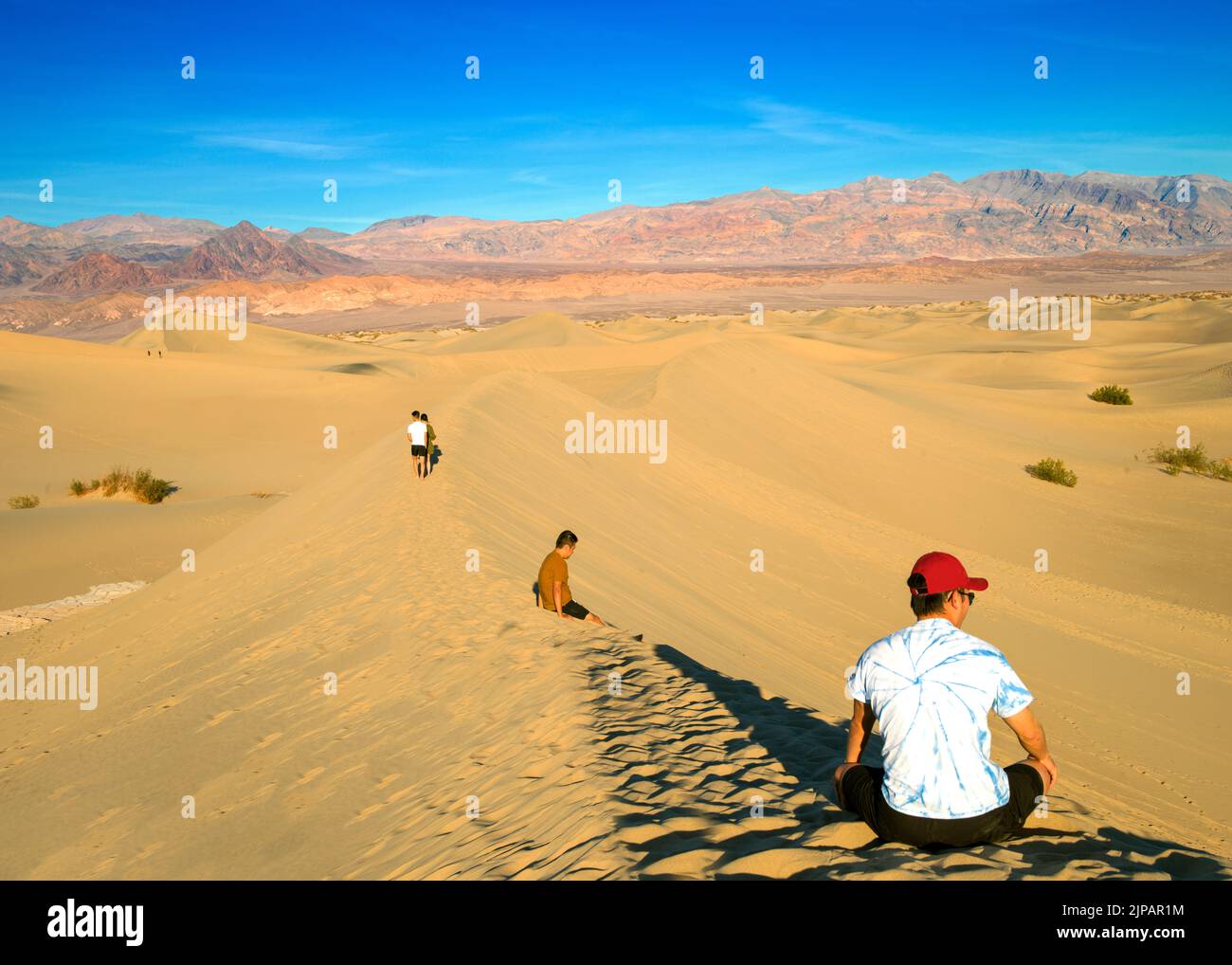 Mesquite Sand Dunes, Death Valley National Park, California, Nord America, Stati Uniti Foto Stock