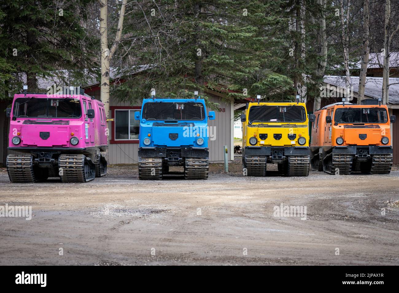 I colorati Snow Coach sono parcheggiati presso il Chena Hot Springs Resort di Fairbanks, Alaska, in attesa di portare gli ospiti per vedere Aurora Foto Stock