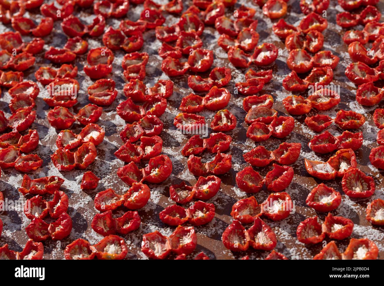 Lotti di pomodori giacenti l'uno accanto all'altro per asciugare e inscatolare. I pomodori sono salati. Foto Stock