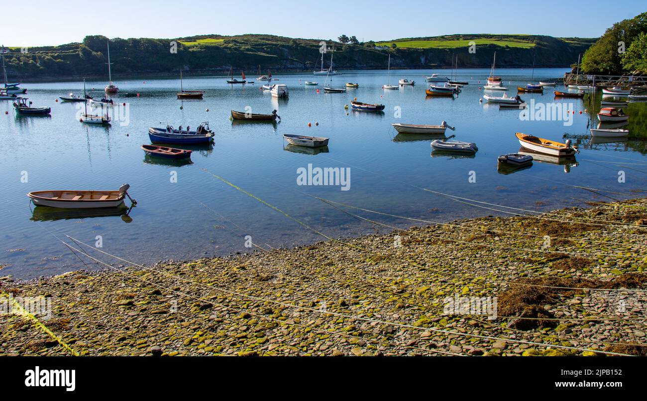 Ormeggi in corso dalla riva alle barche ormeggiate nel porto di West Cork Foto Stock