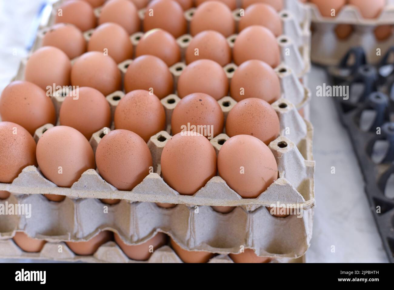 Uova di pollo, uova di pollo in una scatola di cartone. Uova per confezione. Pannelli di uova disposti su una fattoria di pollo. Il concetto di prezzi delle uova nel mercato tha Foto Stock