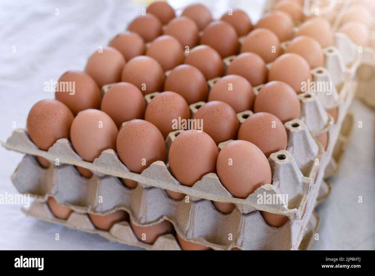 Uova di pollo, uova di pollo in una scatola di cartone. Uova per confezione. Pannelli di uova disposti su una fattoria di pollo. Il concetto di prezzi delle uova nel mercato tha Foto Stock