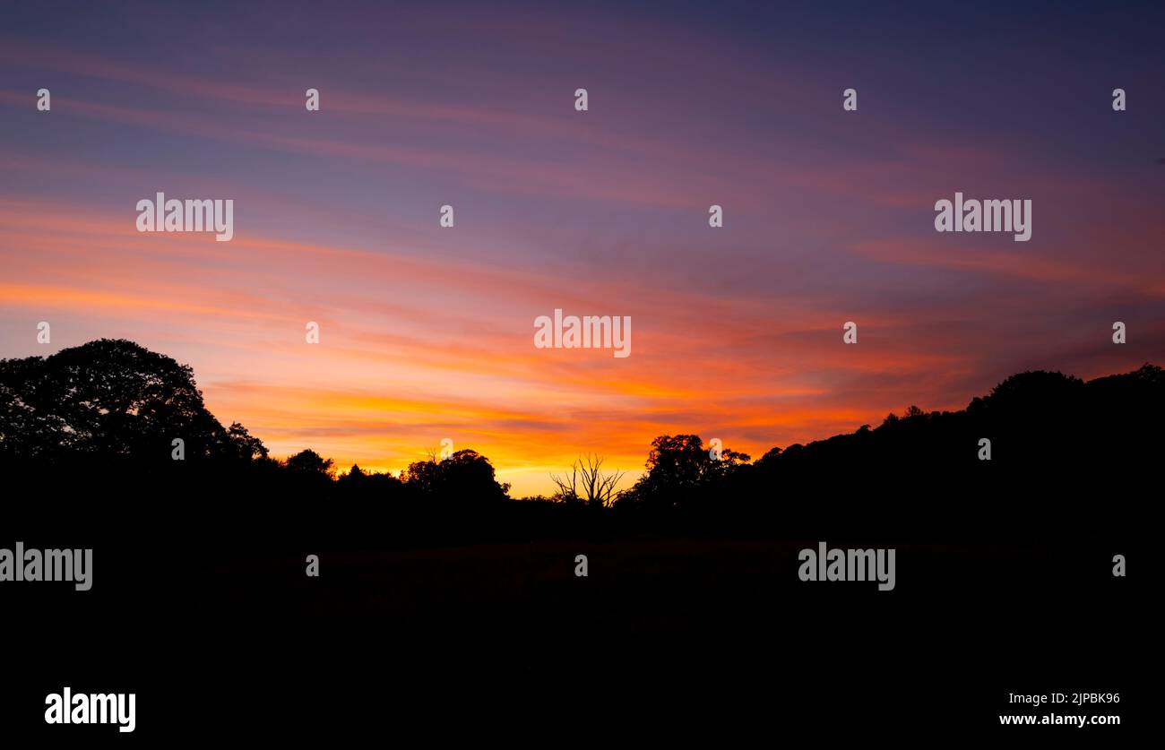 Silhouette Treeline Tramonto Foto Stock