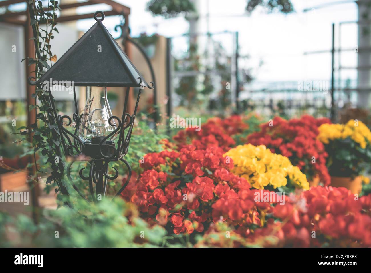 Hamamatsu Flower Park｜Giappone Foto Stock