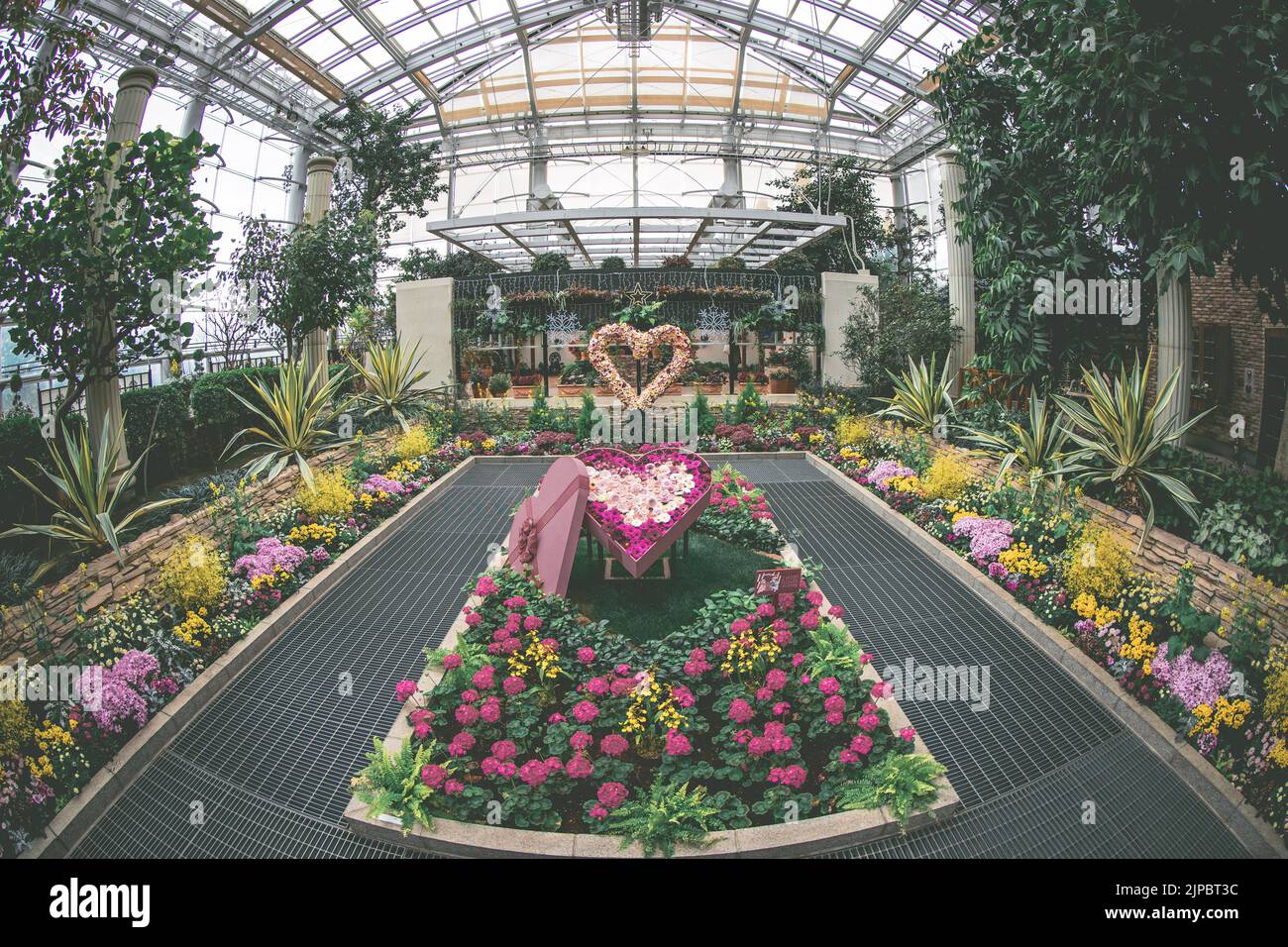 Hamamatsu Flower Park｜Giappone Foto Stock