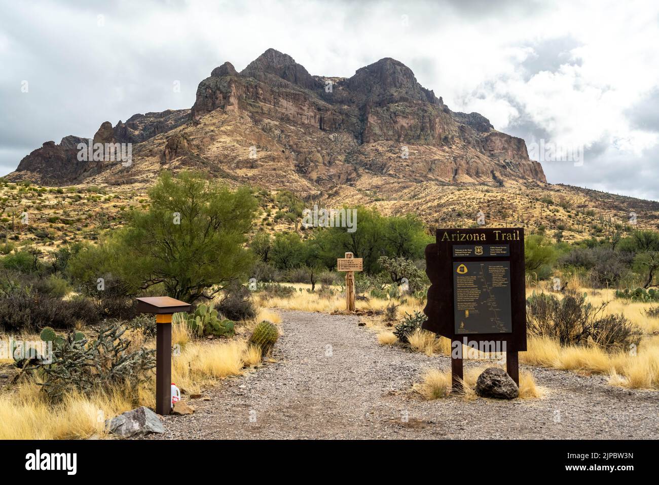 Tonto NF, AZ, USA - 25 dicembre 2021: L'Arizona Mountain Trail Foto Stock