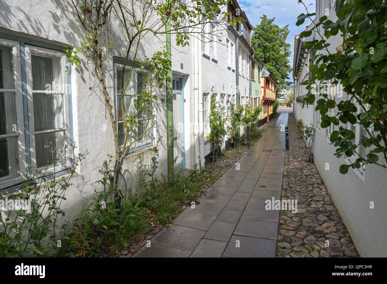 Flensburg nel centro storico, tipico vicolo stretto tra piccole case storiche della città con rose sulle facciate in ciottoli, destinazione turistica, Foto Stock