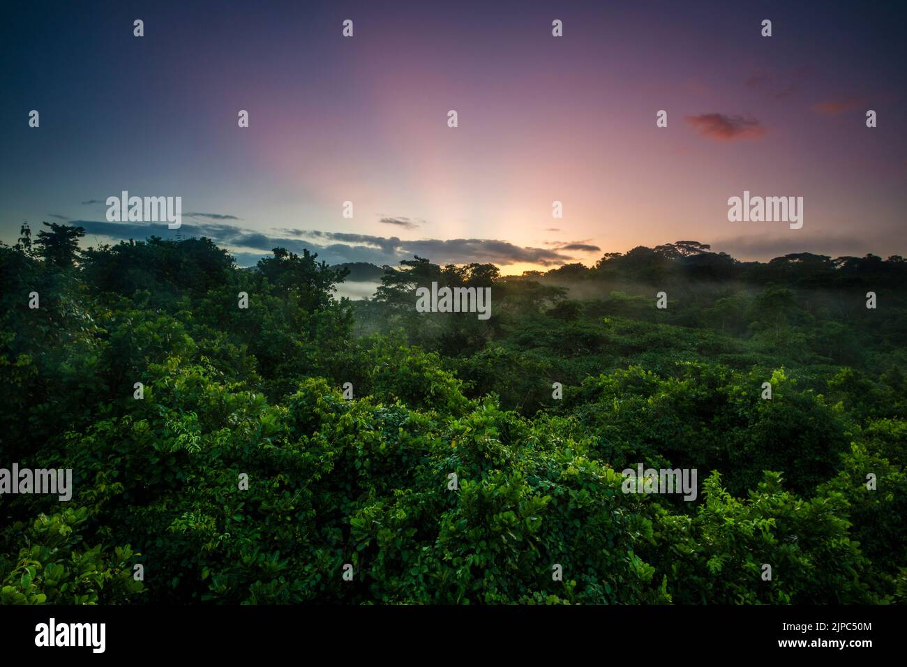 Paesaggio di Panama con splendida foresta pluviale all'alba nel parco nazionale di Soberania, provincia di Colon, Repubblica di Panama, America Centrale. Foto Stock