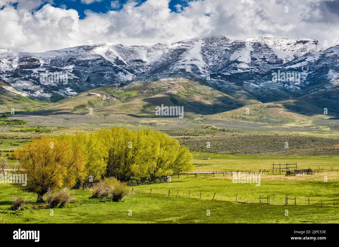Massiccio Humboldt Peak, East Humboldt Range, sulla Secret Valley, dopo la tempesta di neve in tarda primavera, vista dal Secret Pass, vicino all'autostrada NV229, Nevada, USA Foto Stock