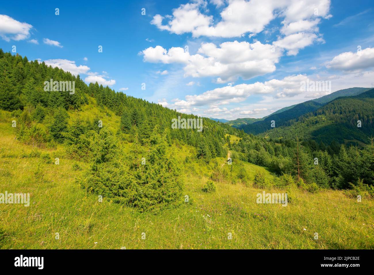 paesaggio rurale montagnoso in estate. meraviglioso paesaggio di campagna dei carpazi. colline boscose e prati erbosi. cielo blu con nuvola soffice Foto Stock