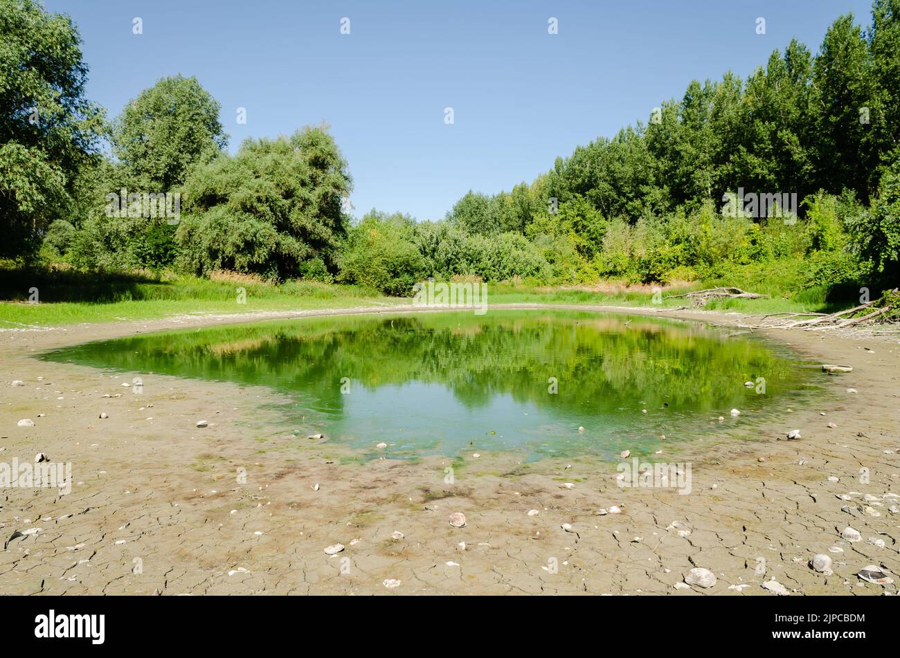 Un laghetto prosciugato vicino al Danubio. Vista su un laghetto prosciugato vicino al Danubio. Foto Stock