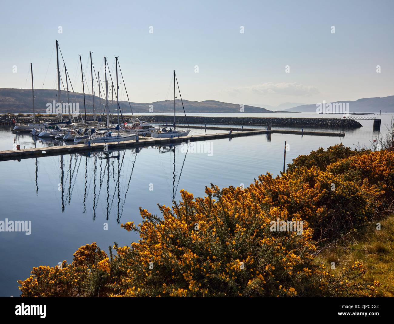 Una mattina di marzo luminosa e tranquilla, yacht a vela e altre imbarcazioni ormeggiate nel Portavadie Marina sul Loch Fyne sulla costa occidentale della Scozia Foto Stock