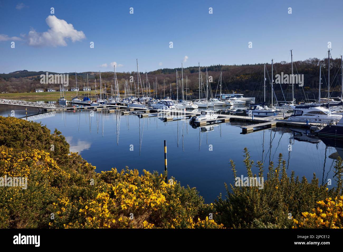 Una mattina di marzo luminosa e tranquilla, yacht a vela e altre imbarcazioni ormeggiate nel Portavadie Marina sul Loch Fyne sulla costa occidentale della Scozia Foto Stock
