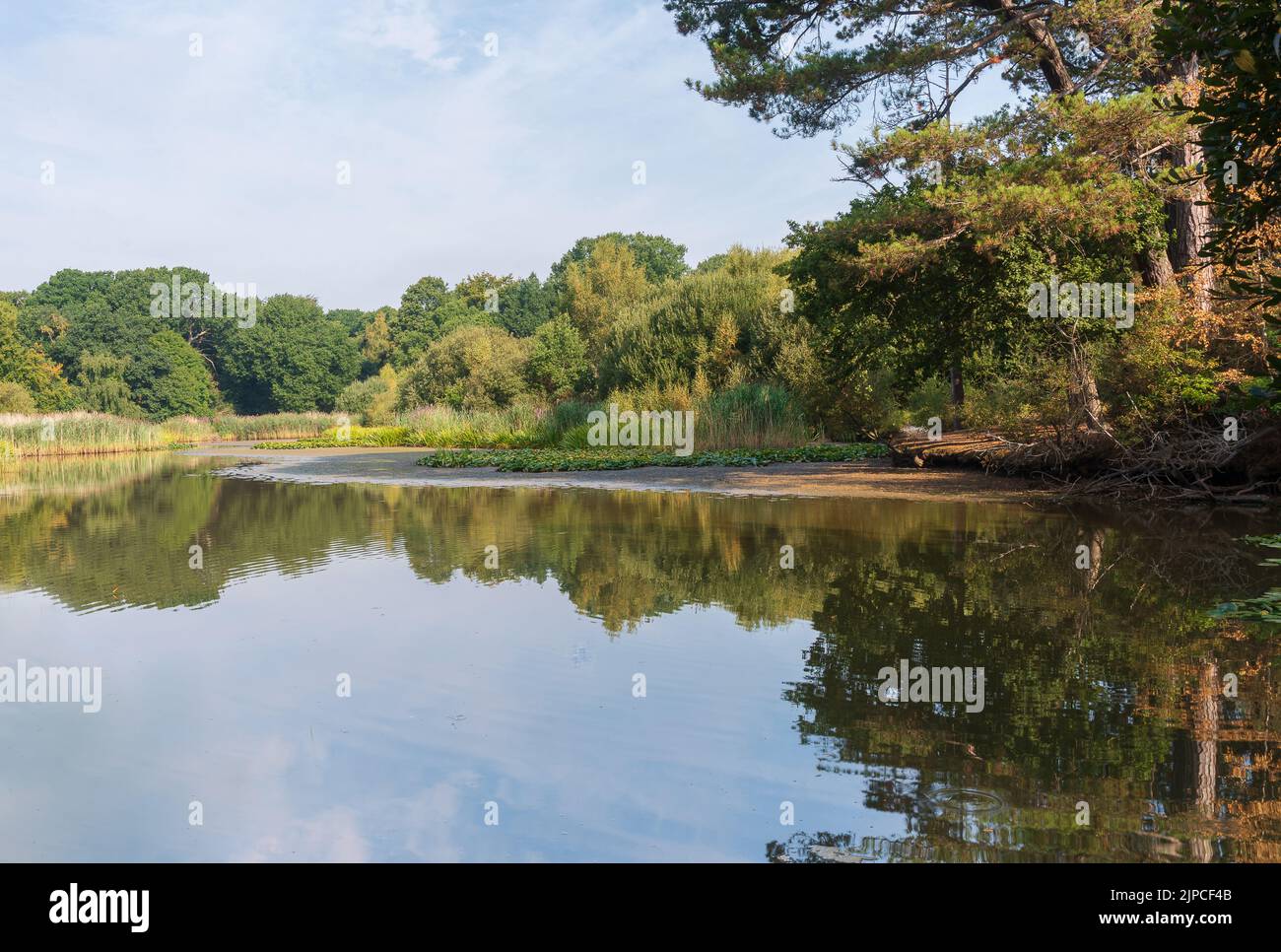 Il Lago ornamentale a Southampton Common durante l'estate molto secca del 2022 mostrando mudbanks secchi. Foto Stock
