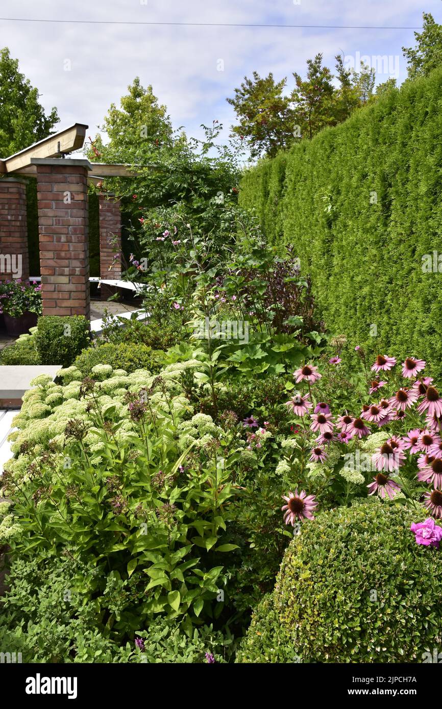 Show Garden, un giardino inglese pieno di fiori estivi fioriti e piante verdi, circondato da un muro di mattoni rossi. Foto Stock