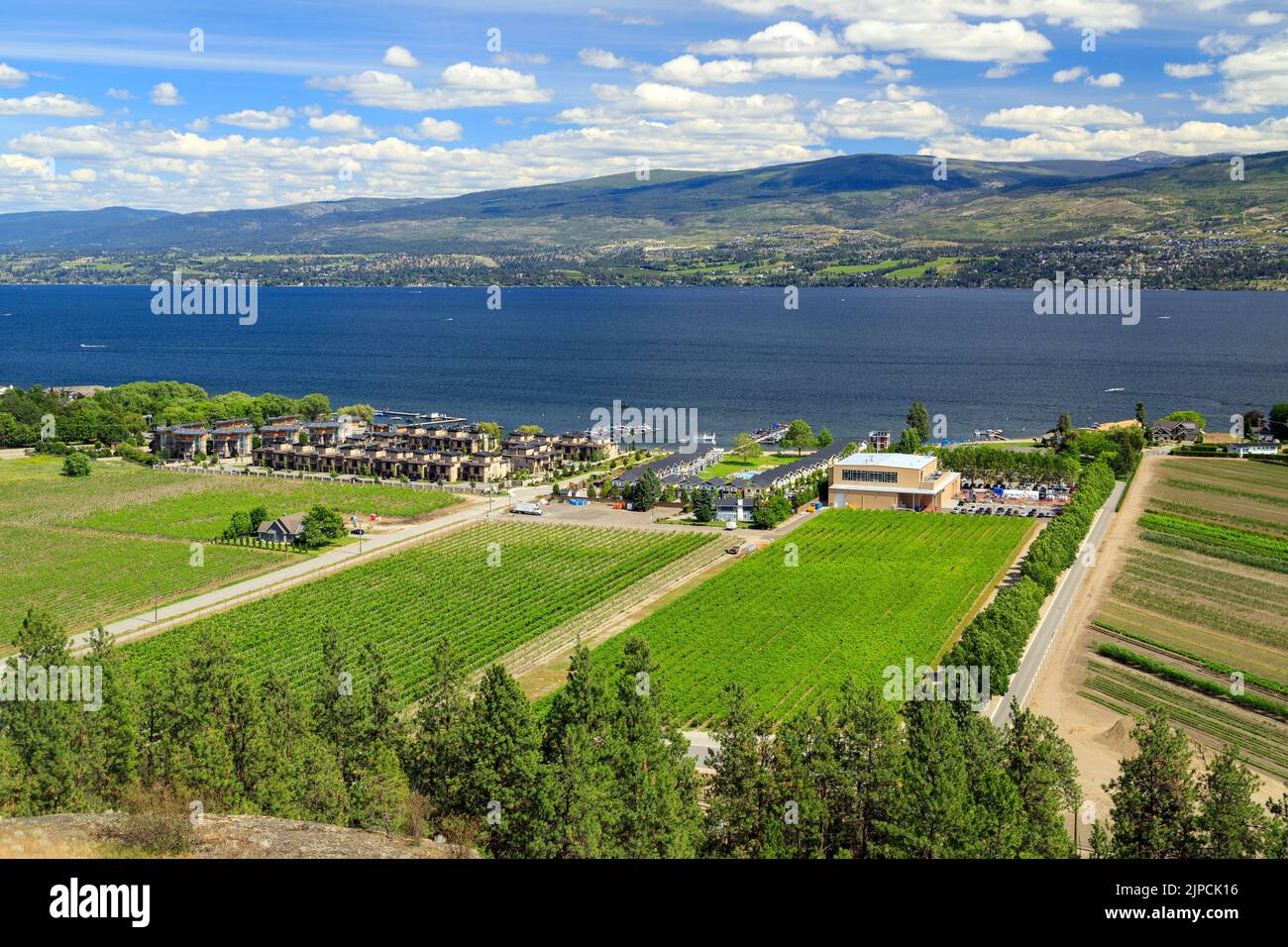 Vista dei vigneti e del lago Okanagan a Westbank, West Kelowna, British Columbia, Canada, situata nella Okanagan Valley. Foto Stock