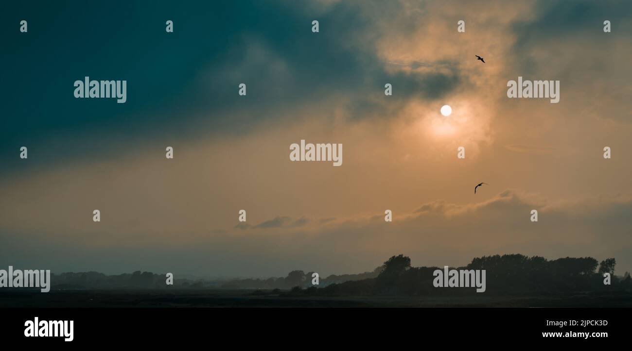 Tramonto in prima serata in Una giornata di storia sopra Stanpit Creek e Stanpit Marsh Nature Reserve. Christchurch Regno Unito Foto Stock