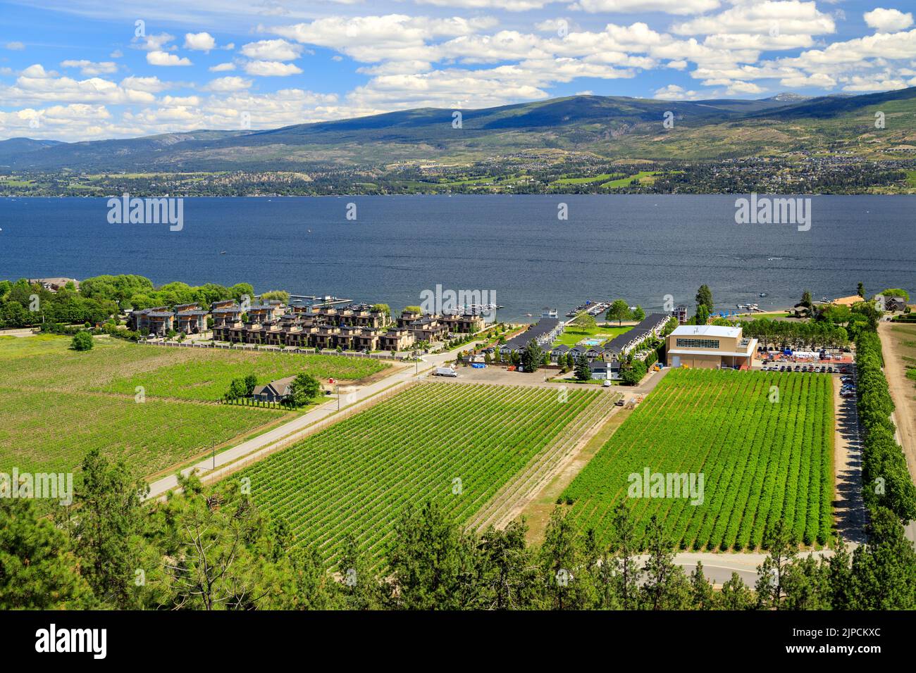 Vista dei vigneti e del lago Okanagan a Westbank, West Kelowna, British Columbia, Canada, situata nella Okanagan Valley. Foto Stock